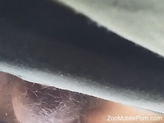 Naked man feels dog's entire penis in his ass until the end