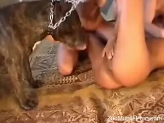 Slender babes pose naked when they share the dog dick