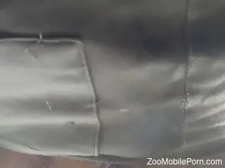 Naked man tries anal sex with the dog in mutual perversions
