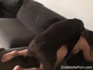 Dashing woman feels a big dog dick in her shaved pussy and ass