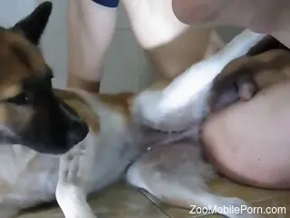 Nude man lets dog fuck him in the ass and come on his dick