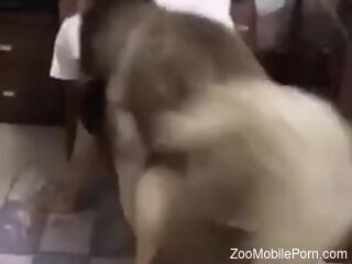 Dog humps nude woman in the ass and comes all over her