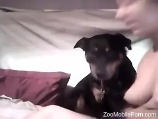 Wife shares exclusive homemade dog porn in sexy scenes