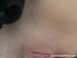 Insolent woman gets fitted with dog dick in both holes
