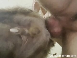 Naked man deep fucks furry animal in brutal zoophilia kinks