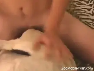 Merciless vaginal dog porn makes naked man come big time