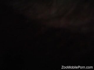 Amateur man films himself during intense anal sex with an animal