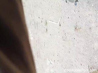 Appealing chick with nice curves gets fucked in a loud treat