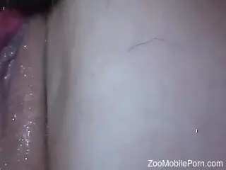 hot blonde fucked by animals in a wide mix of perversions