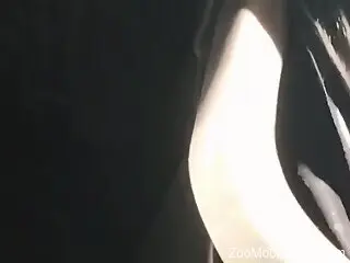 Man watches two cats fucking and that turns him on