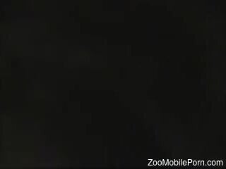 Black dog is having rough zoo sex with a blonde