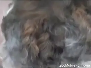 Housewife is having a cosplay bestiality