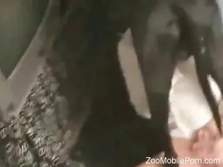 Deepthroat oral zoo sex by the slutty housewife