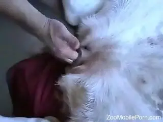 Zoophile loves fucking his furry doggie