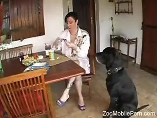 Filthy housewife is having zoo sex with a black dog