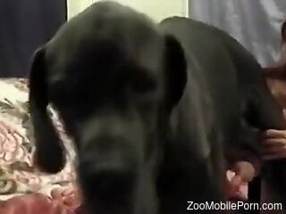 Skinny brunette is getting ready for zoo sex at home