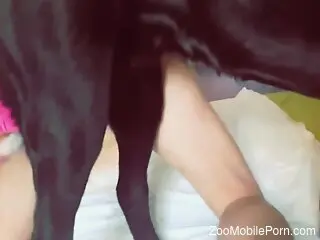 Masked skinny brunette is enjoying zoo sex