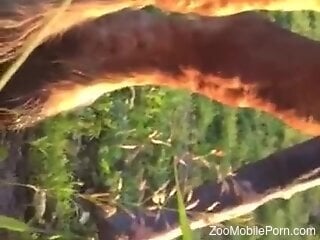 Huge cock of a horse is any zoophile's dream