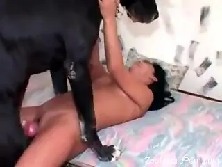 Huge black dog is banging wet pussy in zoo sex