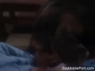 Horny doggie is absolutely ready for oral zoo sex