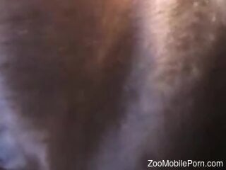 Mature in leather costume gets anal drilled by a big horse