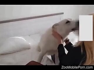 Blonde model tries the dog's cock for insanely hot perversions
