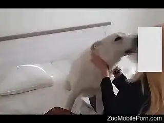 Blonde model tries the dog's cock for insanely hot perversions