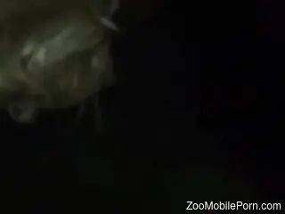 Late-night anal perversions with a dog causes man shivering pl...