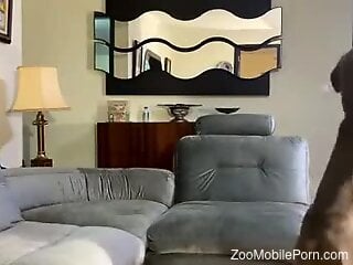 Sexy wife gets anal drilled by hubby and gagged by her dog