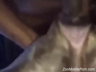 Nude man filmed when roughly fucking his dog in the ass