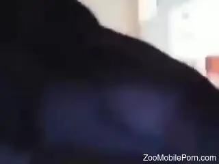 Sexy female loves it when the dog penetrates her from behind