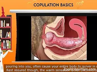 Complete info on how to start trying animal sex perversions