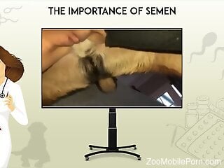 Complete info on how to start trying animal sex perversions