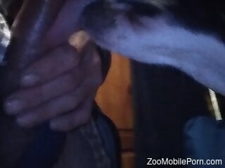 Amateur male completes his sexual fantasies with the dog