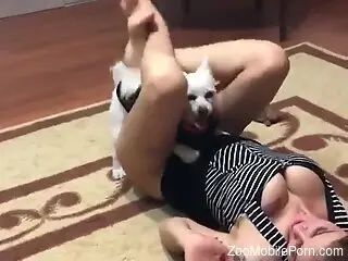 Busty female goes loud as fuck while the dog fucks her