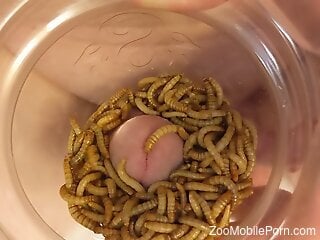 Man feels pleasure by putting the dick in a glass full with worms